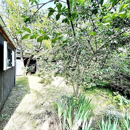 Harmonie - Agreable Maison Situee Dans Un Ecrin De Verdure La Tremblade Eksteriør bilde